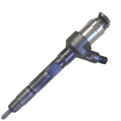 Injecteur 295050-0010