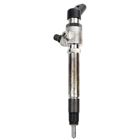 Injecteur 5WS40253