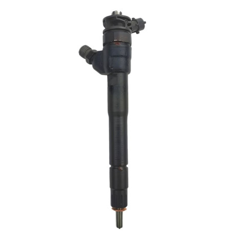 Injecteur 0445110895