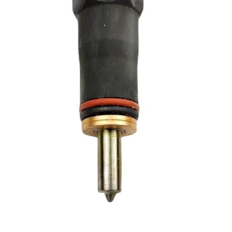 Injecteur pour VOLKSWAGEN Phaeton 5.0 V10 TDI 313 CV - 0986441565