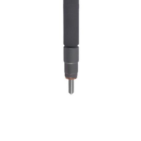 Injecteur 0445110224