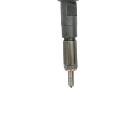 Injecteur 0445110511