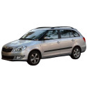 Pompe à haute pression SKODA Fabia 2 Combi (545)