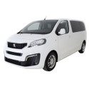 Pompe à haute pression PEUGEOT Traveller